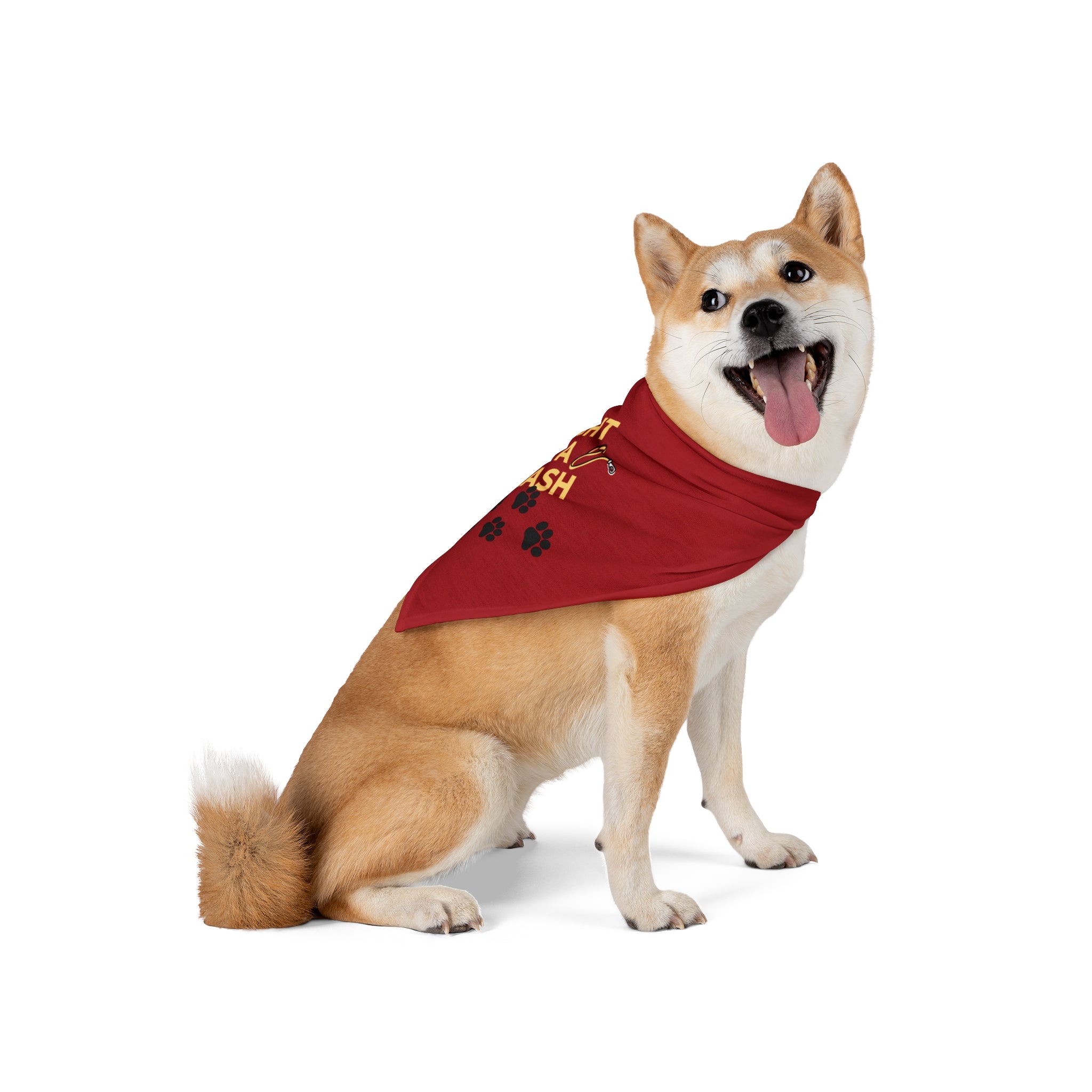 Light On a Leash Red Pet Bandana | Dog & Cat Bandana | Everyday Pet Accessory