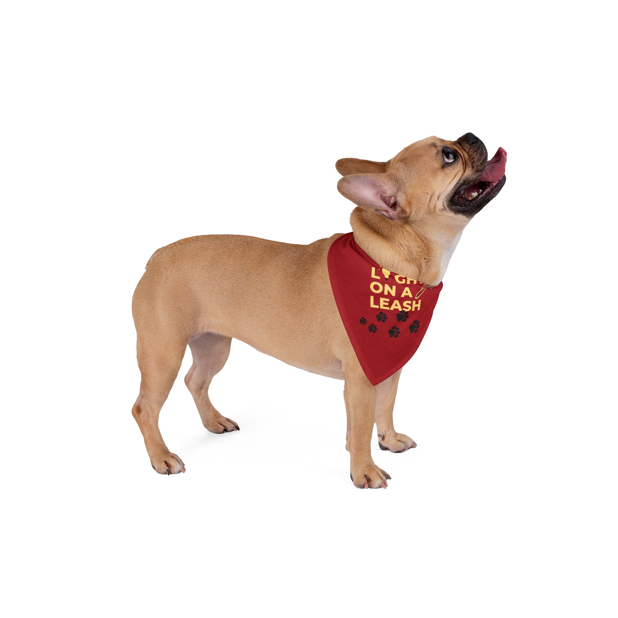 Light On a Leash Red Pet Bandana | Dog & Cat Bandana | Everyday Pet Accessory