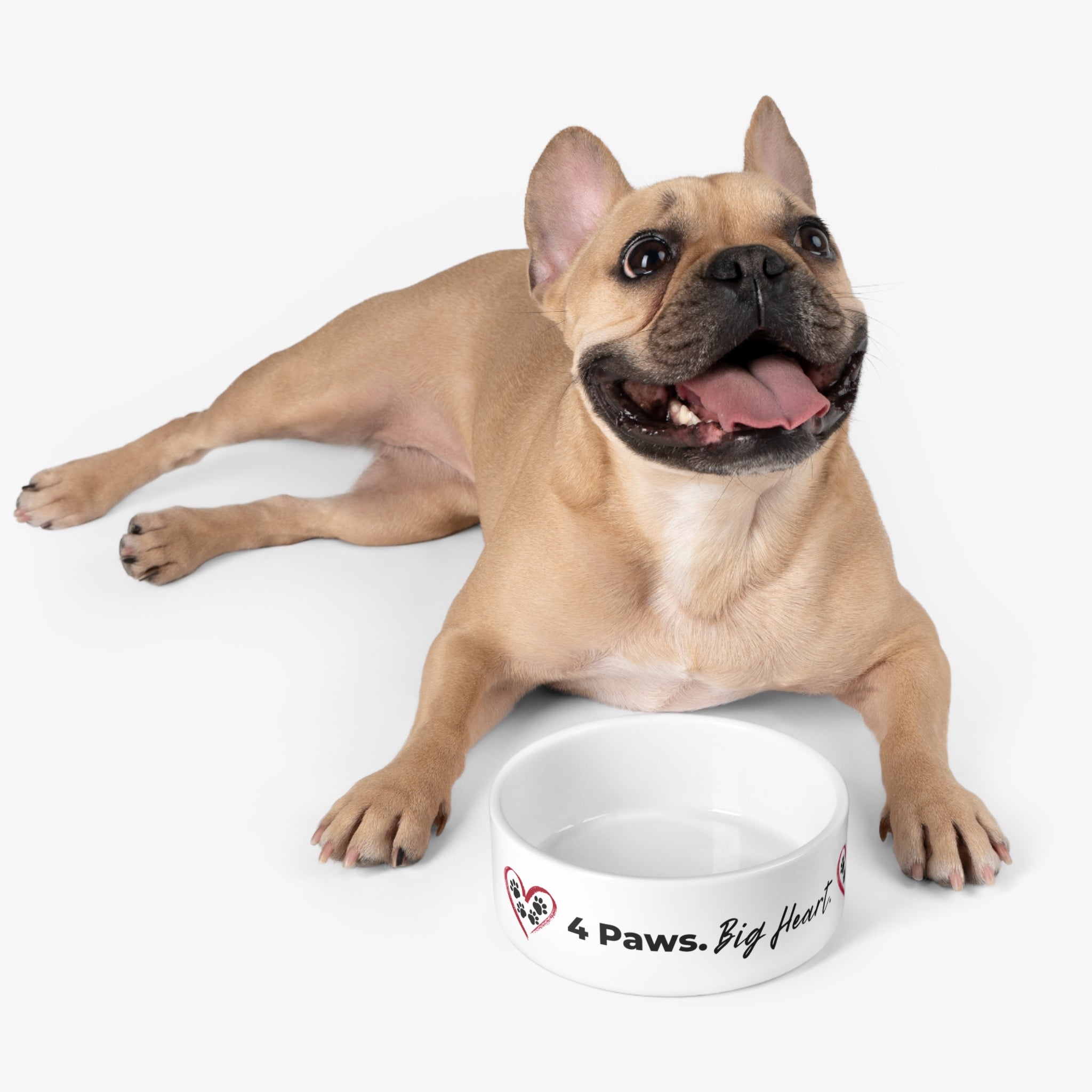 4 Paws. Big Heart. Ceramic Pet Bowl | Food & Water Dish